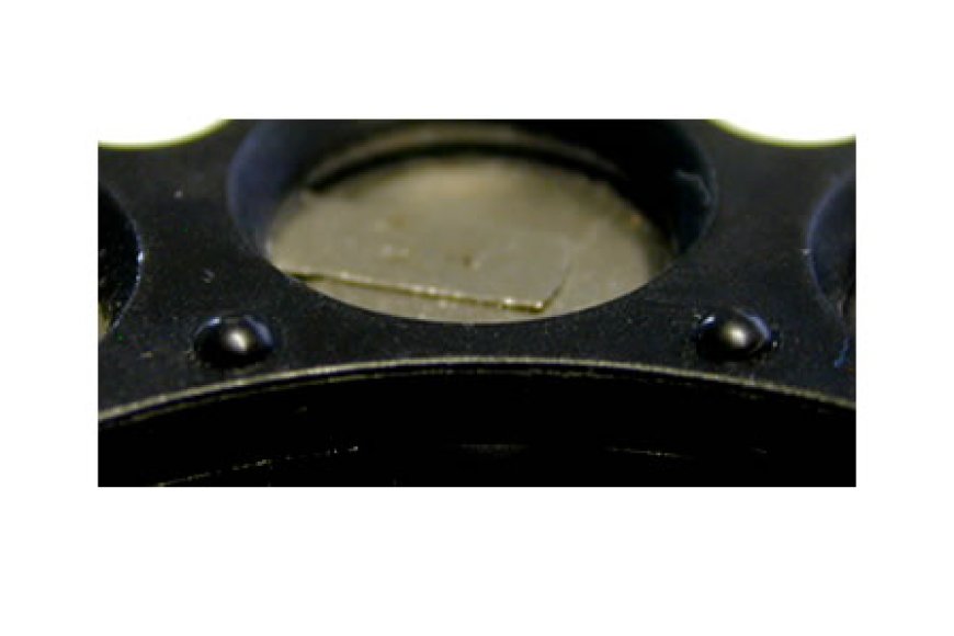 Umformung von mehreren Pins im Durchmesser von ca. 0,8mm zu Domen von ca.