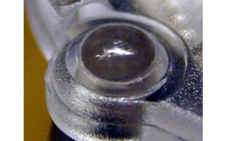 Heißverstemmen von PA6-Pins zur dauerhaften Fixierung eines Deckels.